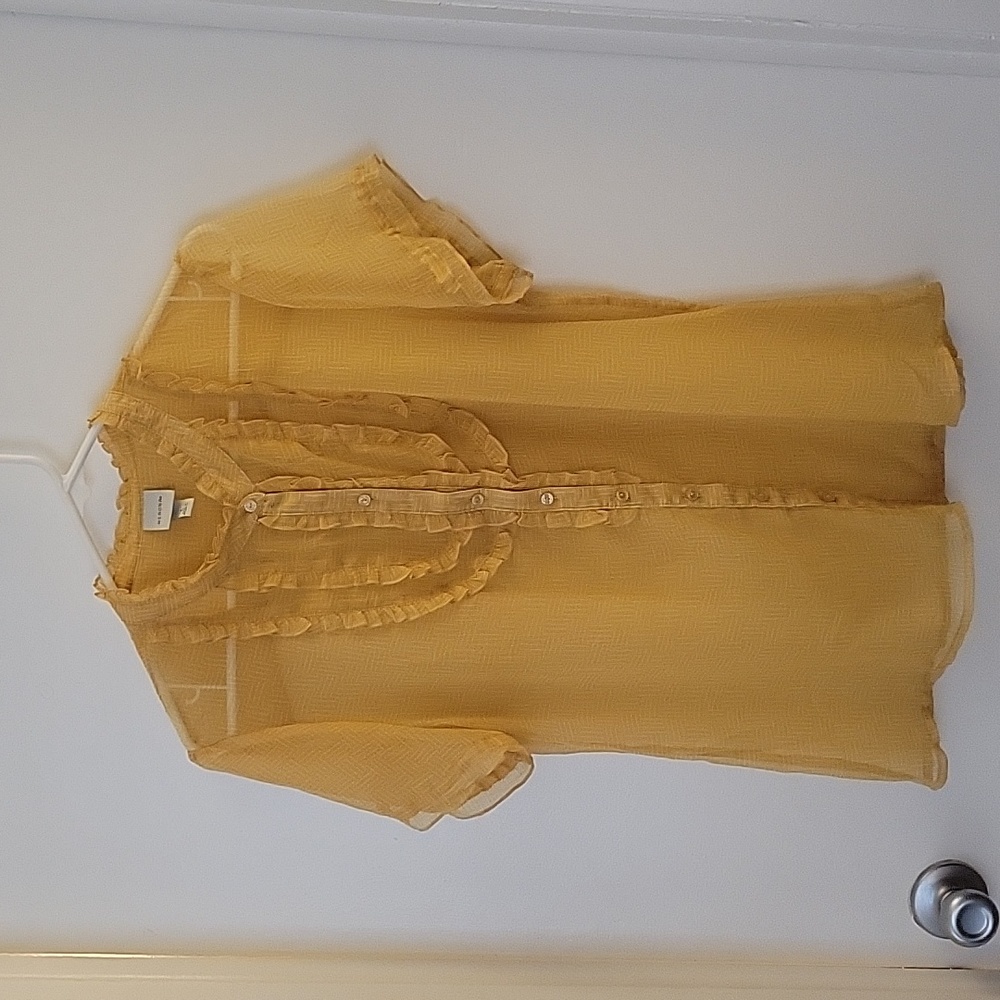 Sheer Blouse
